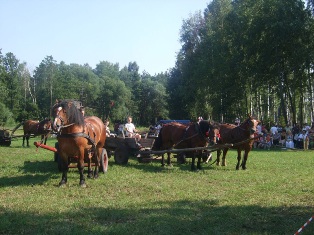 najmłodszy luzak zawodów,