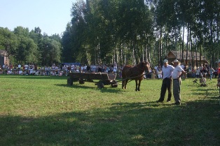 czekając na start