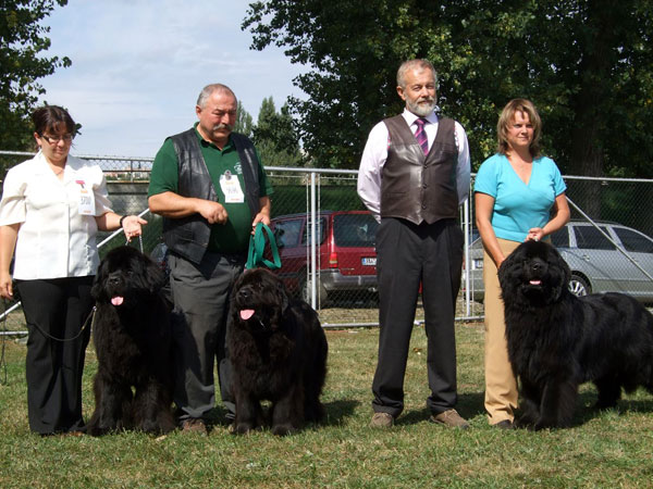 Najpiękniejsze nowofundlandy Mlada Boleslav 2009 - od lewej : res.CACIB - Jawa, CACIB + BOB suczka Athena Gomar, sędzia Jiri Janda oraz pies CACIB Fabricius od Trojske Skaly