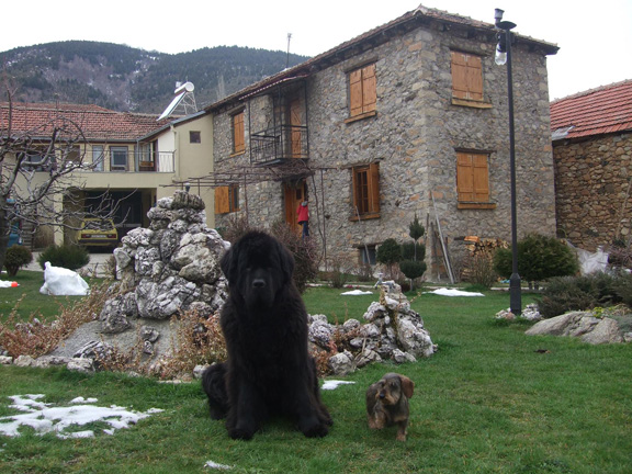 Villa Dihovo