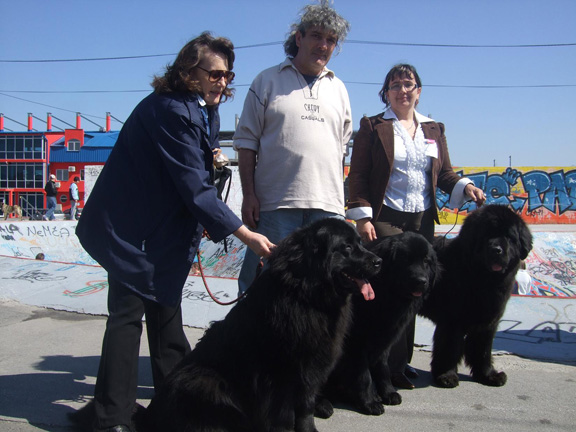 Nowofundlandy na wystawie CACIB Jagodina 2009