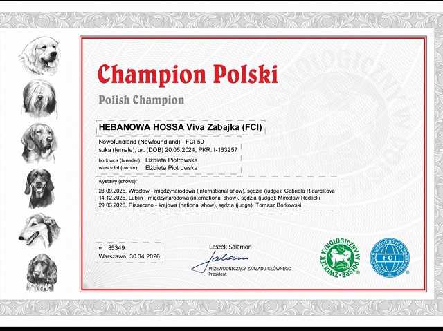 zabajka