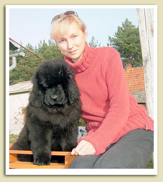 Jedna Taka Jagoda Viva Zabajka FCI