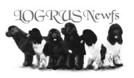 Logrus Newfs