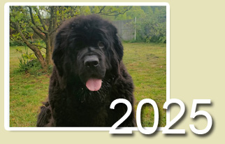 2025
