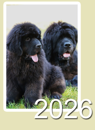 2026
