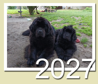 2027