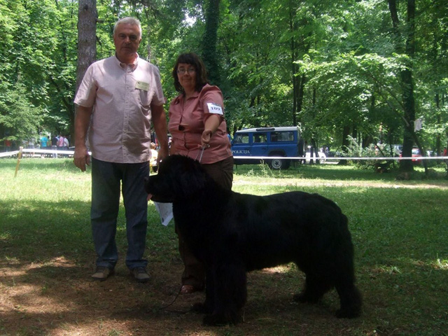 CACIB - BOB - Cetinje 2009